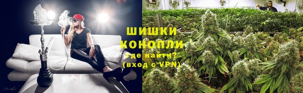 трава Лабытнанги