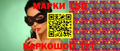мдпв Гусев