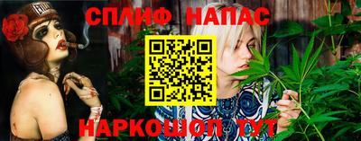 мдпв Гусев