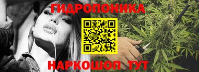 мдпв Гусев